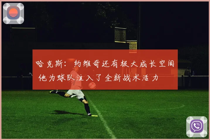 哈克斯：约维奇还有极大成长空间 他为球队注入了全新战术活力